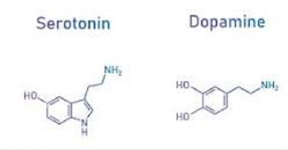 dopamina e serotonina ormoni del piacere e della felicità